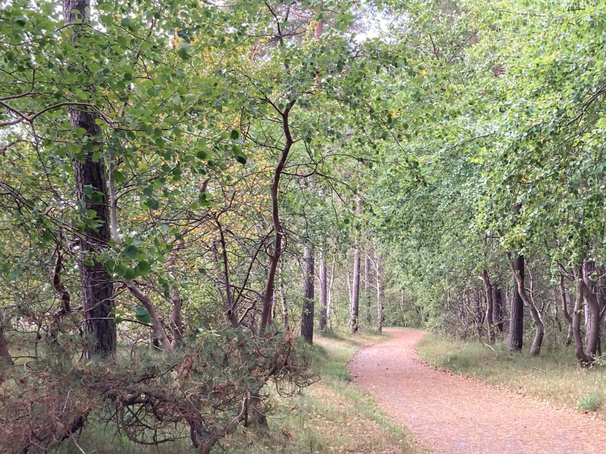 Stallet Pa Skarby Ystad Εξωτερικό φωτογραφία